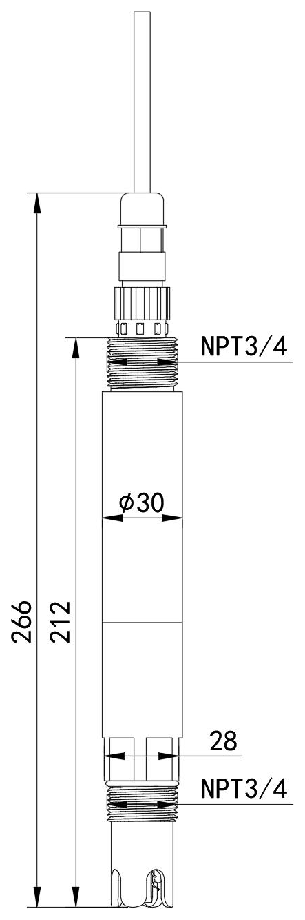 Dimensioned drawing of the PHA01: 266 mm overall, 212 mm body, 30 mm diameter, 28 mm electrode section and NPT 3/4 thread at both ends